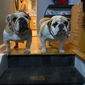 Meet your Posher, Carl